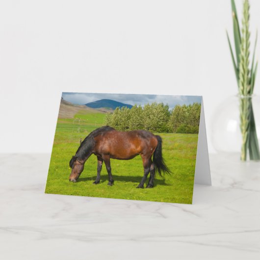 Mossfellsbaer Icelandic Horse カード (正面)