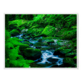 Mossy Forest Stream in Killarney National Park ポスター (正面)