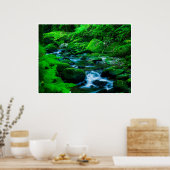 Mossy Forest Stream in Killarney National Park ポスター (キッチン)