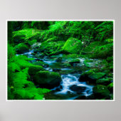 Mossy Forest Stream in Killarney National Park ポスター (正面)