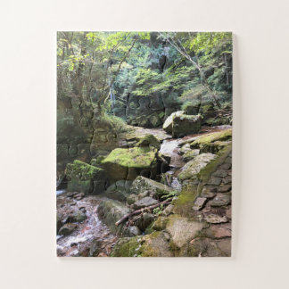 Mossy Mountain Stream in a Japanese Forest Jigsaw ジグソーパズル