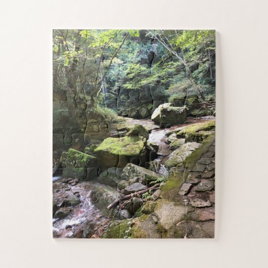 Mossy Mountain Stream in a Japanese Forest Jigsaw  ジグソーパズル (縦)