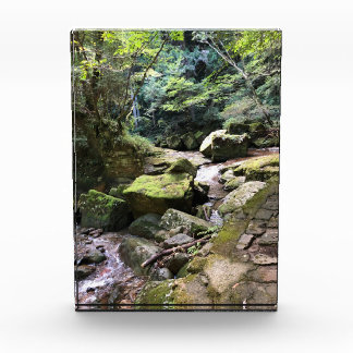 Mossy Mountain Stream in a Japanese Forest Jigsaw フォトブロック