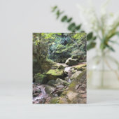 Mossy Mountain Stream in a Japanese Forest Jigsaw ポストカード (スタンド正面)