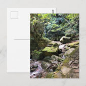 Mossy Mountain Stream in a Japanese Forest Jigsaw ポストカード (正面/裏面)