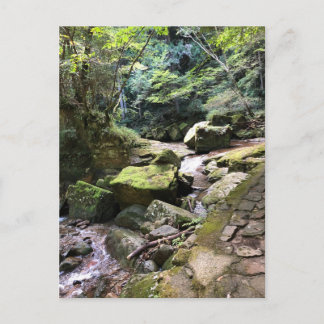 Mossy Mountain Stream in a Japanese Forest Jigsaw ポストカード