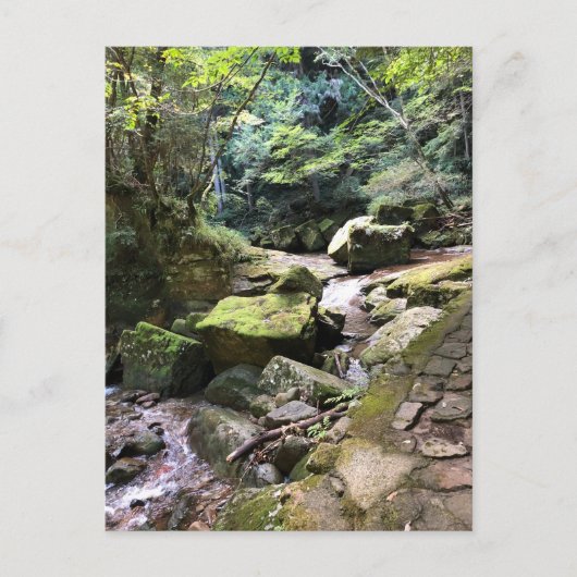 Mossy Mountain Stream in a Japanese Forest Jigsaw ポストカード (正面)