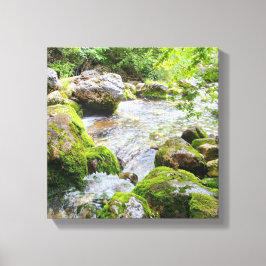 Mossy Mountain Stream – Pristine Forest River Canv キャンバスプリント