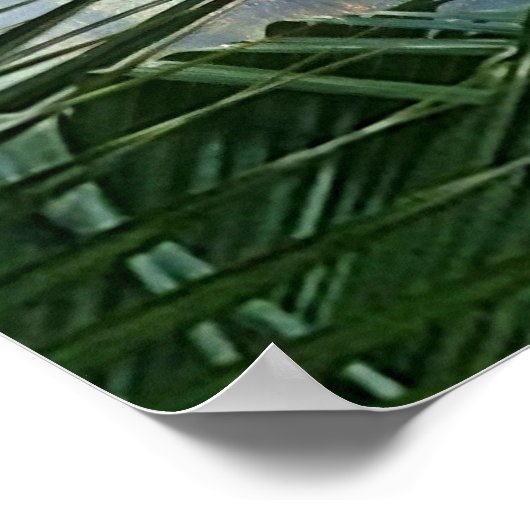 Mossy Tree in the Fog ポスター (角)