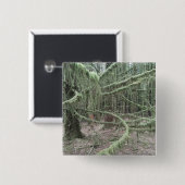 Mossy Trees In Welsh Woodland 2025 缶バッジ (正面&裏面)