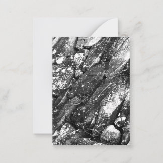 Mossy Wet Green Rocks Stones Boulders Photography ノートカード
