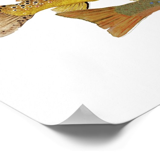 Most Trout 人気がある Artwork ポスター (角)