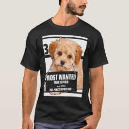 Most Wanted Maltipoo -マルチーズミニチュアプードル Tシャツ