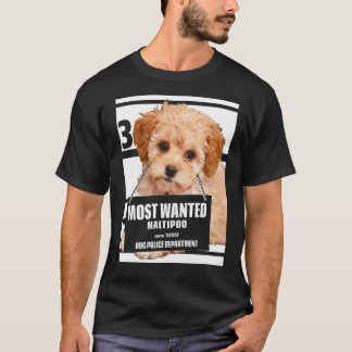 Most Wanted Maltipoo -マルチーズミニチュアプードル Tシャツ