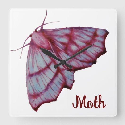 Moth スクエア壁時計 (正面)
