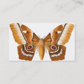 Moth Business Card - Lepidopterist用 名刺 (裏面)