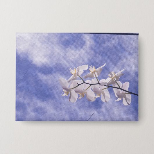 Moth Orchid 缶バッジ (正面)