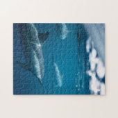 Mother and Baby Animal Dolphin Photography Animal ジグソーパズル (横)