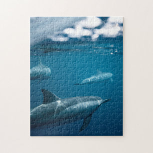 Mother and Baby Animal Dolphin Photography Animal ジグソーパズル