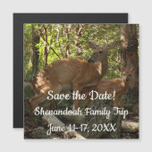 Mother and Baby Deer at Shenandoah National Park (正面/裏面)