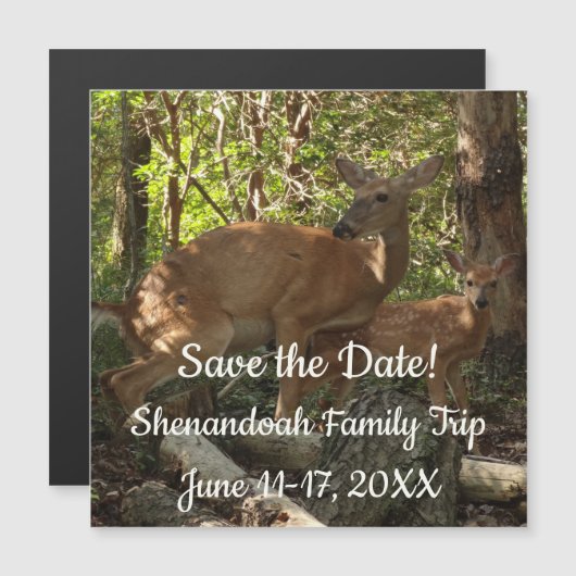 Mother and Baby Deer at Shenandoah National Park (正面/裏面)