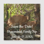 Mother and Baby Deer at Shenandoah National Park (正面)