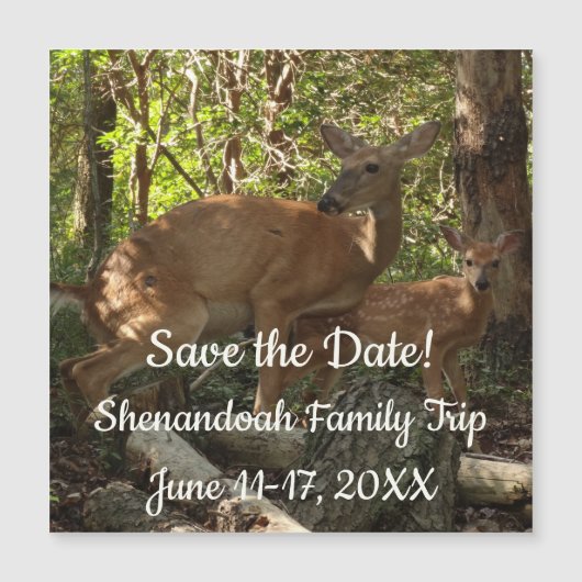 Mother and Baby Deer at Shenandoah National Park (正面)