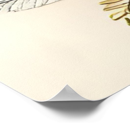 Mother and Child X ポスター (角)