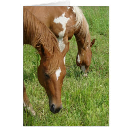 Mother and Son, Horses Grazing