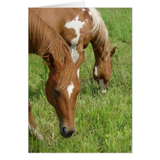 Mother and Son, Horses Grazing (正面)