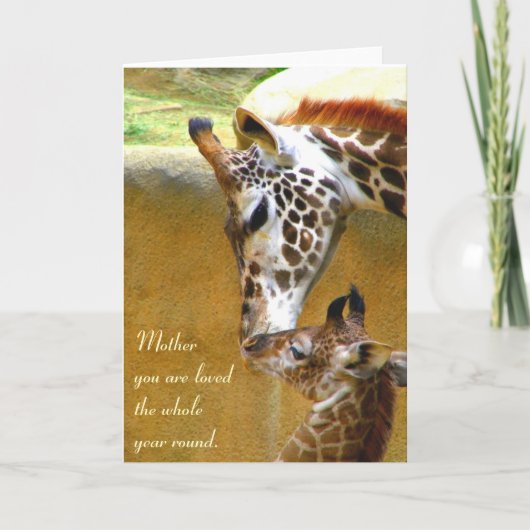 Mother_Card カード (正面)