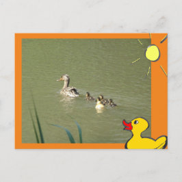 Mother Duck with Young & Cartoons DIYポストカード ポストカード