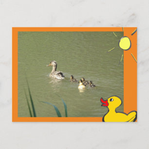 Mother Duck with Young & Cartoons DIYポストカード ポストカード