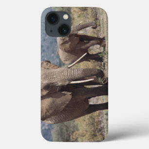 Mother elephant walking with elephant calf iPhone 13ケース