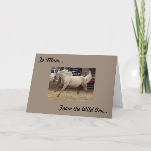 Mother - From the Wild One カード (正面)