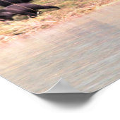 Mother Grizzlyと2匹の赤ちゃんの写真 ポスター (角)