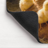 Mother Hen with Baby Chicks in Barn マウスパッド (コーナー)