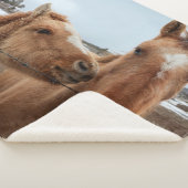 Mother Horse and Foal シェルパブランケット (3/4)