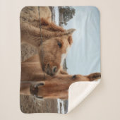 Mother Horse and Foal シェルパブランケット (正面)