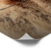 Mother Horse and Foal ポスター (角)