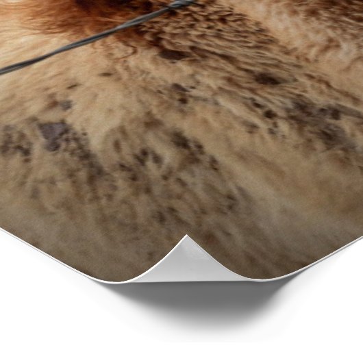 Mother Horse and Foal ポスター (角)