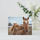 Mother Horse and Foal ポストカード (スタンド正面)