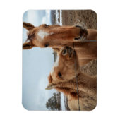 Mother Horse and Foal マグネット (縦)