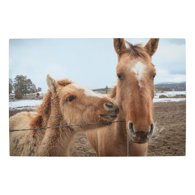 Mother Horse and Foal メタルプリント (正面)
