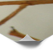 Mother Hummingbird -プリント/ポスター ポスター (角)