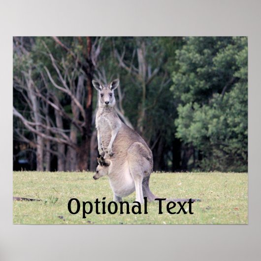 Mother Kangaroo with Baby Joey in Her Pouch ポスター (正面)