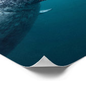 Mother Narwhal & Calf - First Swim in the Arctic ポスター (角)