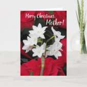 Mother PoinsettiasとPaperwhites Christmas カード (正面)