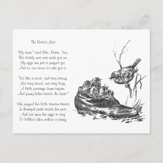 Mother Robinとそのベビーたち ポストカード (正面)