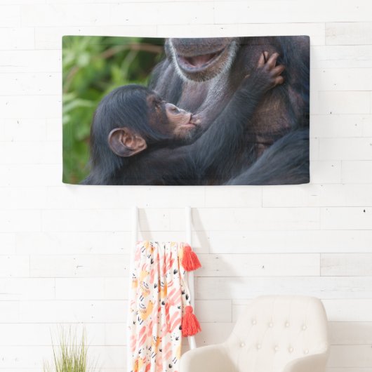 Mother’s Love – Baby Chimpanzee 横断幕 (インサイチュ)
